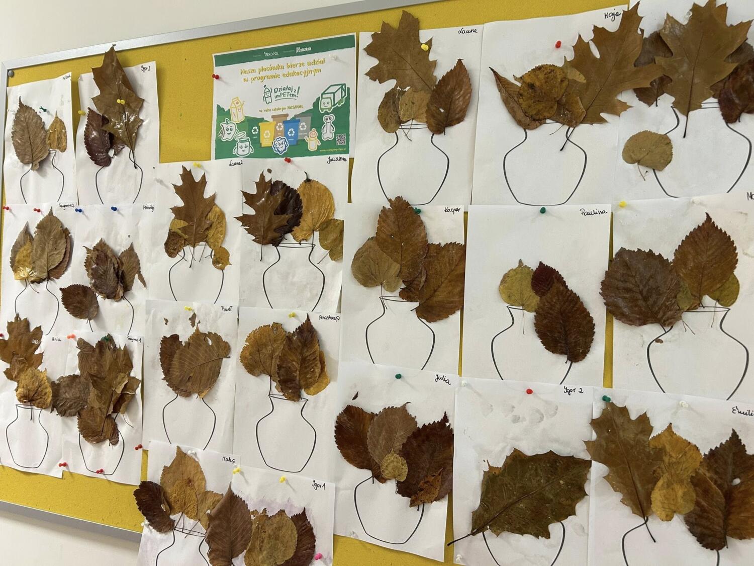 Działaj z Impetem jak postępować z opakowaniami